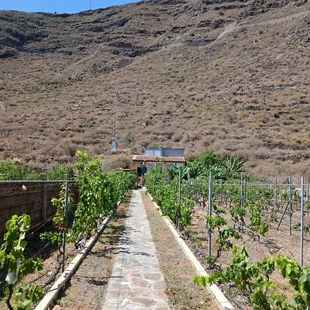 El Jardin De Valle De * Güimar