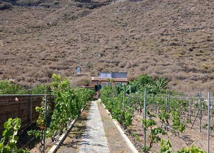 El Jardin De Valle De * Güimar